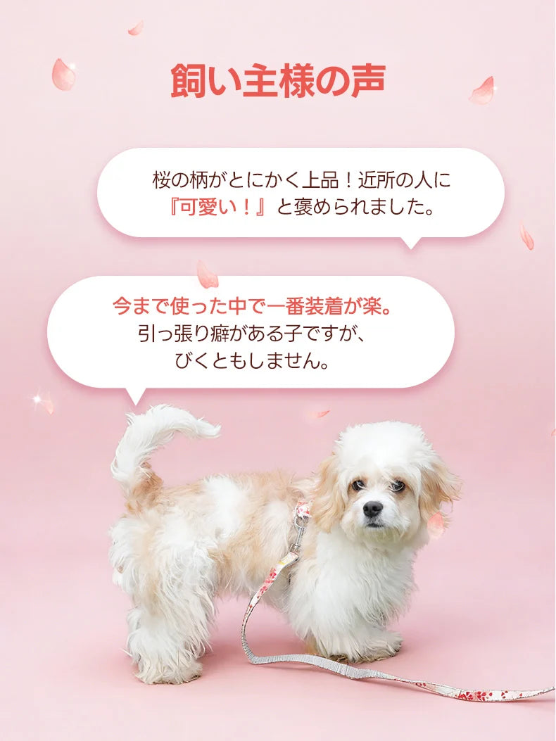 桜模様 ペット用 ハーネス＆リードセット｜抜けない・痛くない和柄