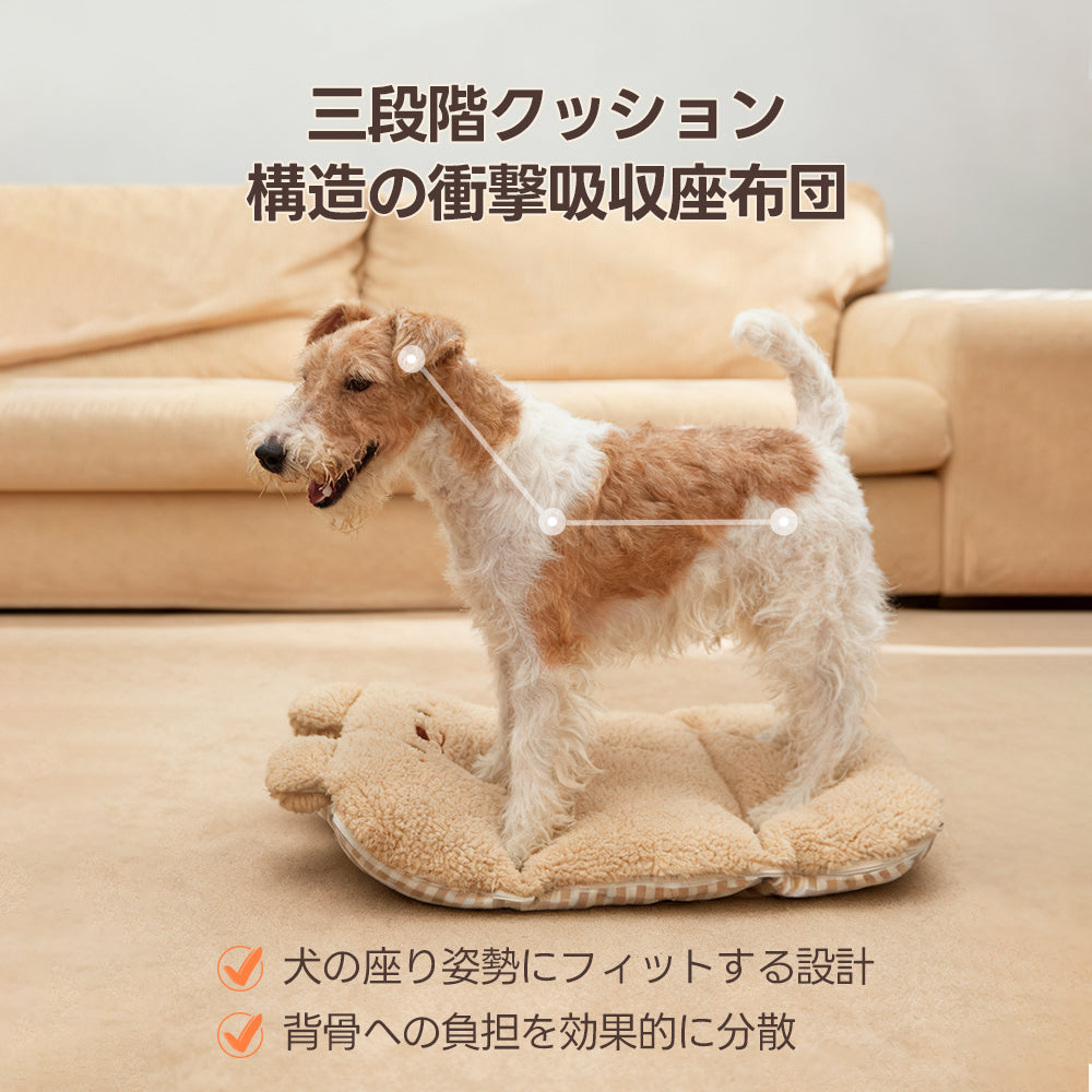 ［新作登場］ふわふわ保温の可愛いベアクッション2点セット