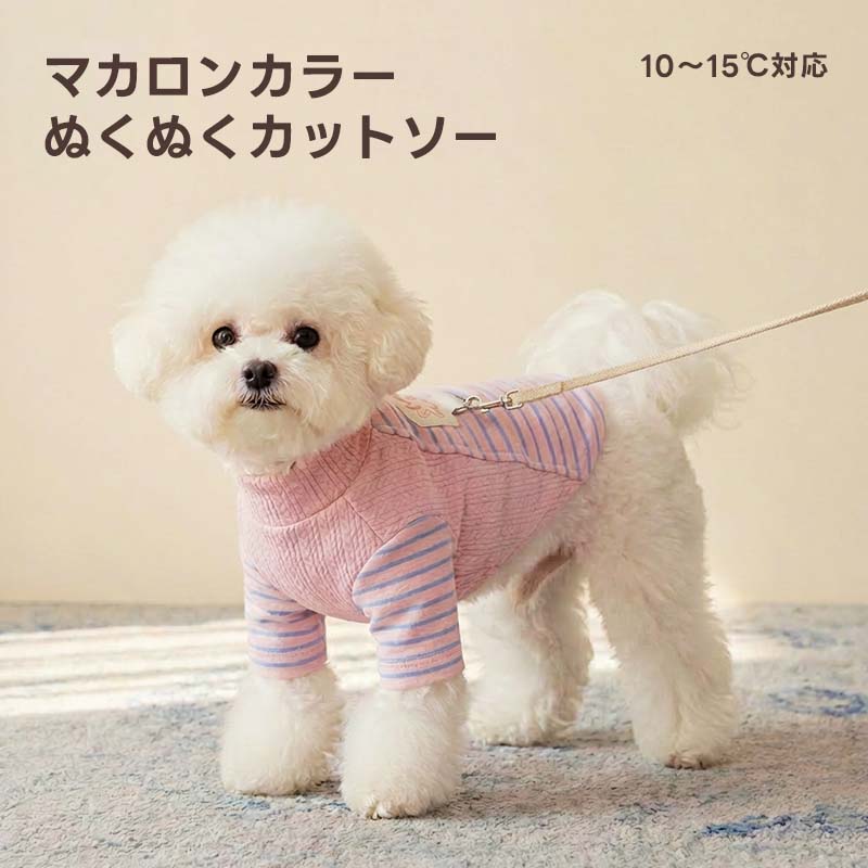 犬服・ドッグウェア